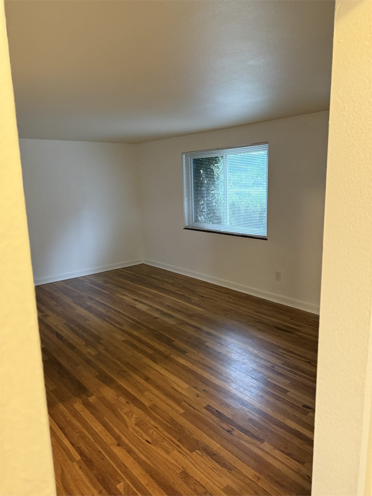 Primary bedroom with hardwood floors and a wide window